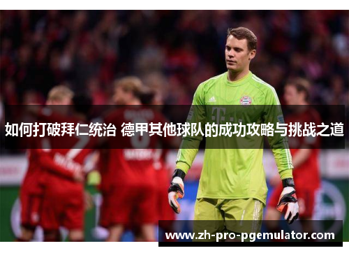 如何打破拜仁统治 德甲其他球队的成功攻略与挑战之道