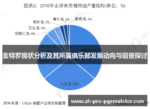 金特罗现状分析及其所属俱乐部发展动向与前景探讨