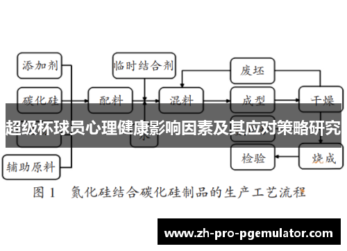 超级杯球员心理健康影响因素及其应对策略研究